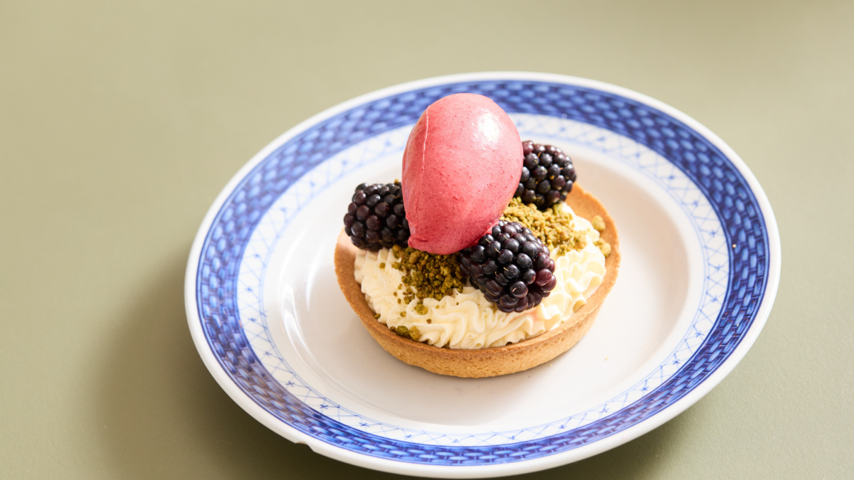 Bruce special billeder 1134×6403 Bruce special billeder 1134×6403