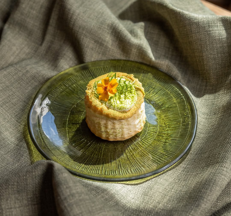 Norrlyst aften billeder tartelet Norrlyst aften billeder tartelet