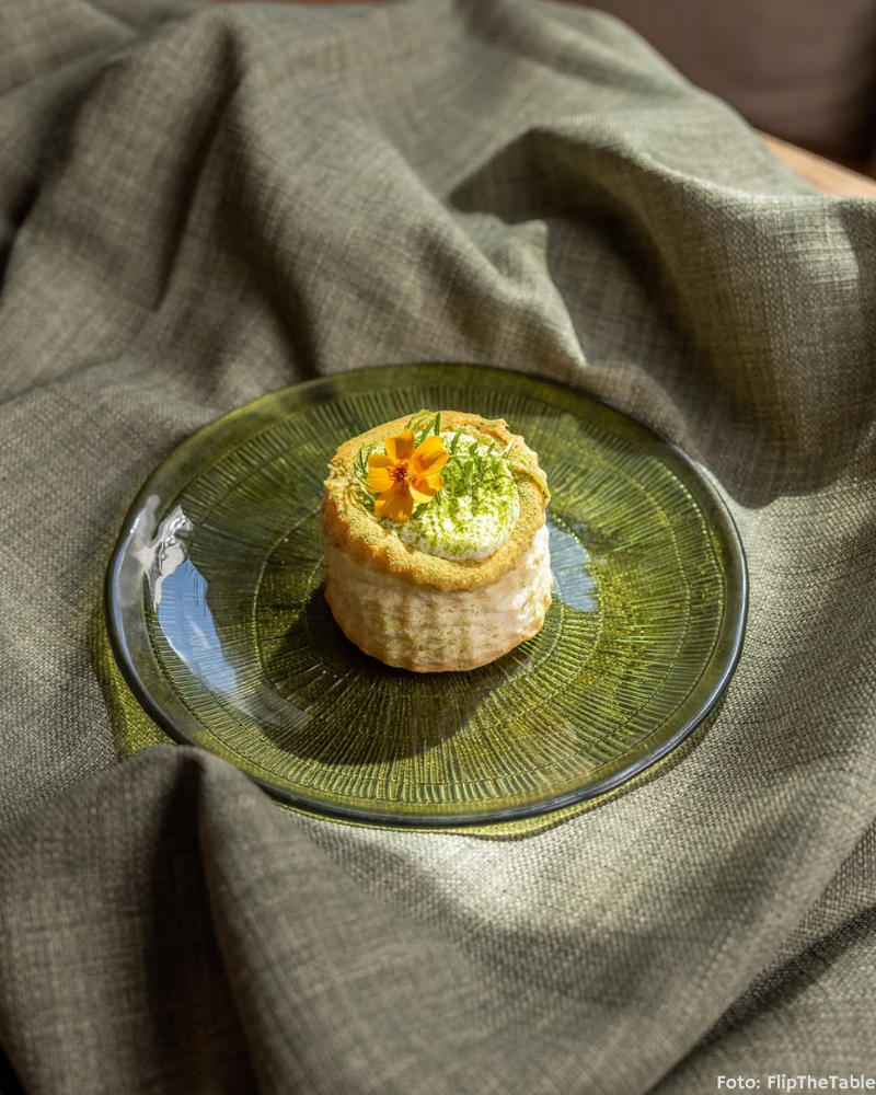 Norrlyst aften billeder tartelet Norrlyst aften billeder tartelet