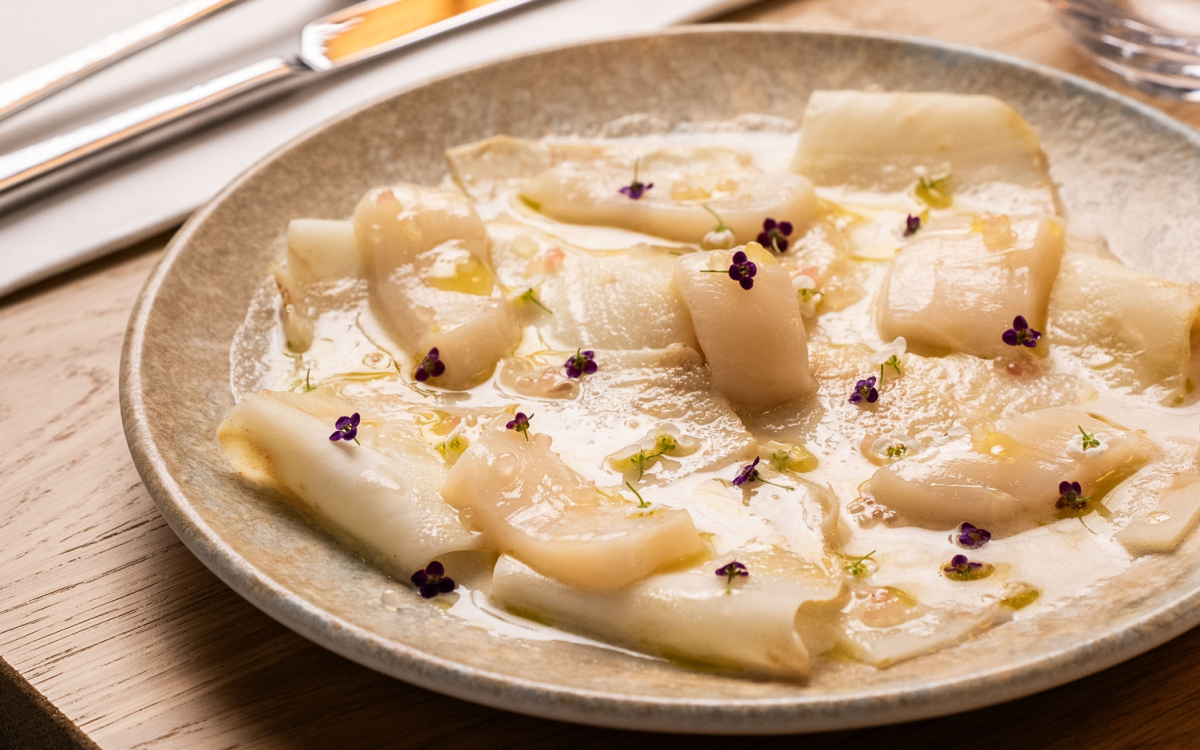 DSC00883 kopya DSC00883 kopya