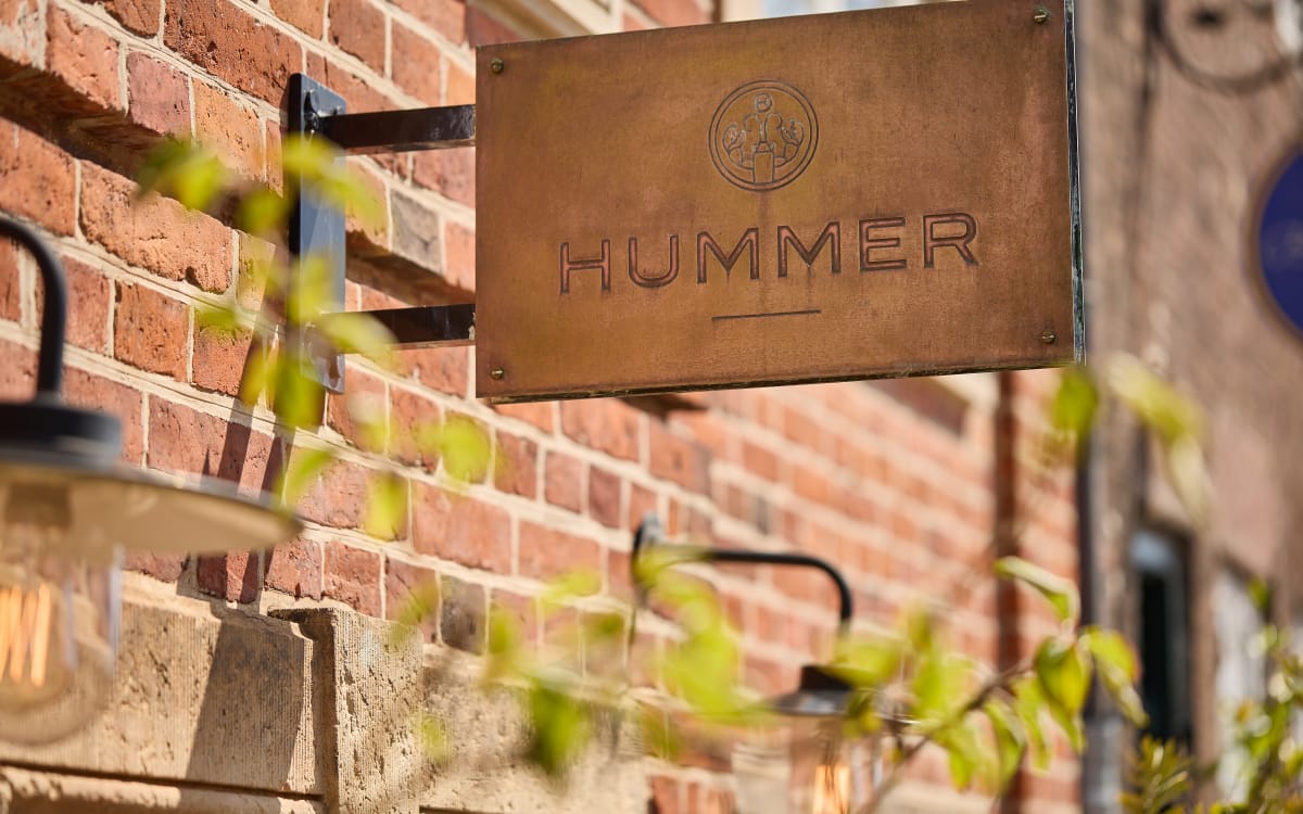 Hummer, juli 2025 – foto Mikkel Bækgaard 1