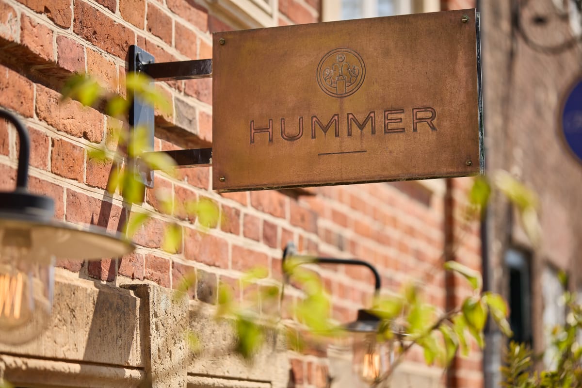 Hummer, juli 2025 – foto Mikkel Bækgaard 1
