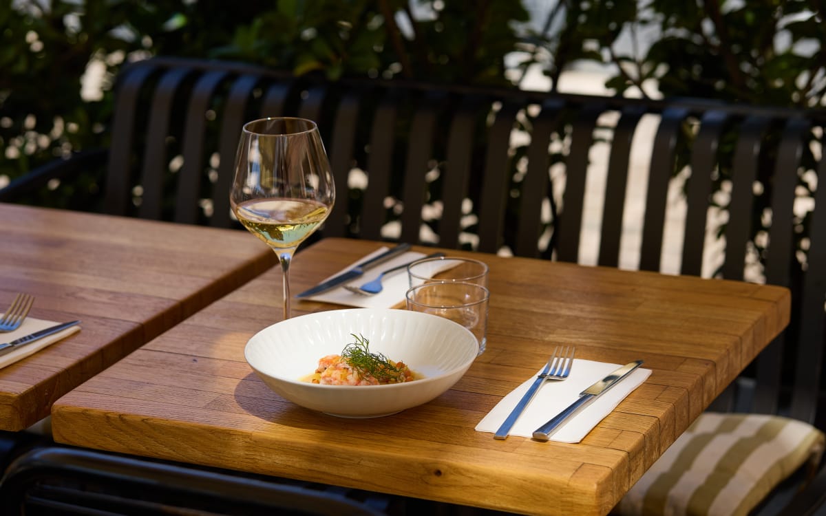 Hummer, juli 2025 – foto Mikkel Bækgaard 18