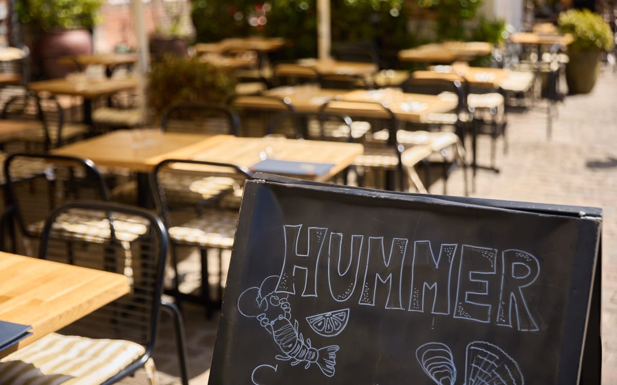 Hummer, juli 2025 – foto Mikkel Bækgaard 38