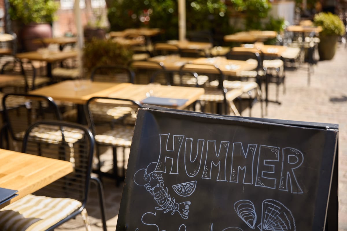 Hummer, juli 2025 – foto Mikkel Bækgaard 38